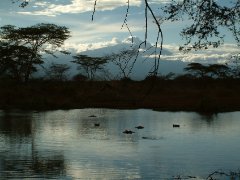 01-Tanzania-Voyager Ziwani Camp
